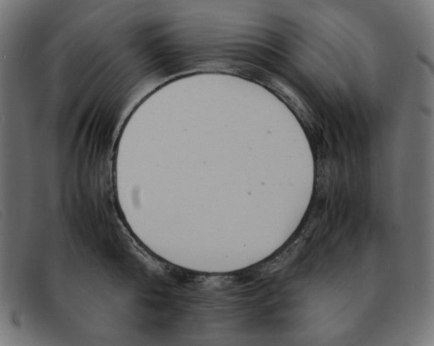 X0000092330808200710121532