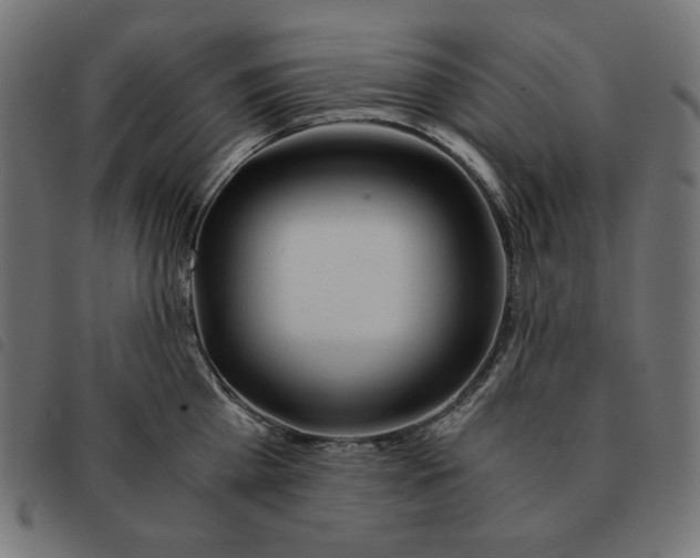 X0000092330809200710121532