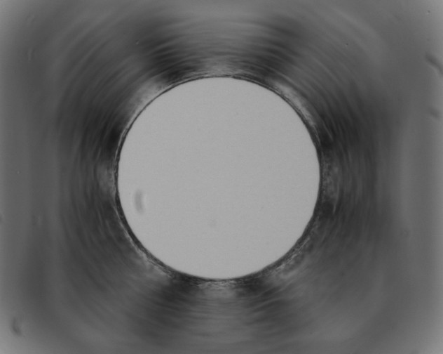X0000092330810200710121532