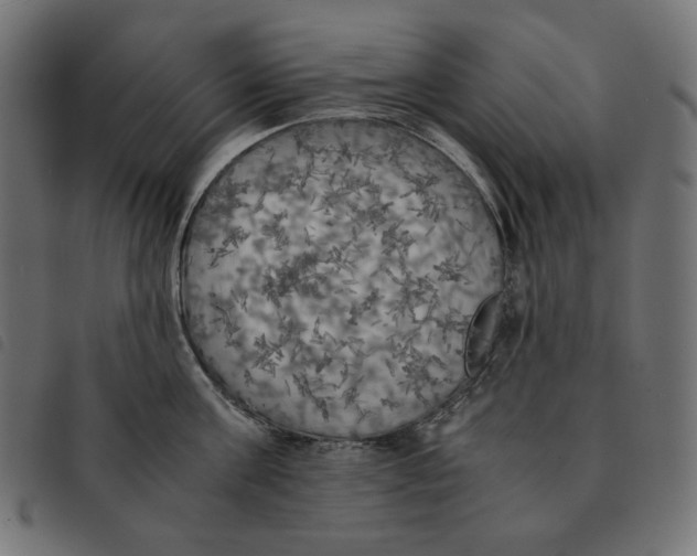 X0000092330811200710121532