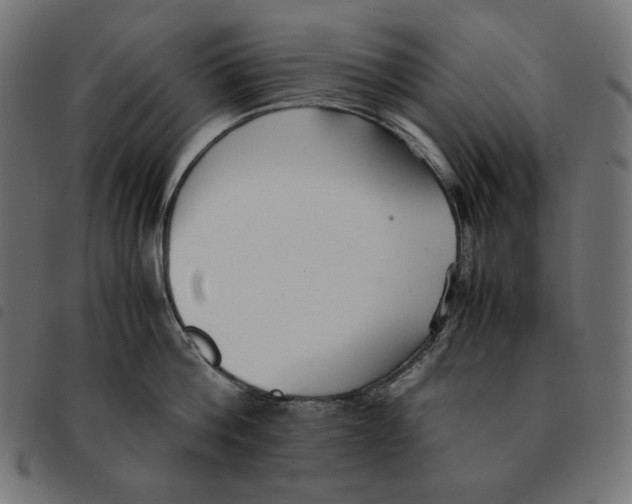 X0000092330812200710121532