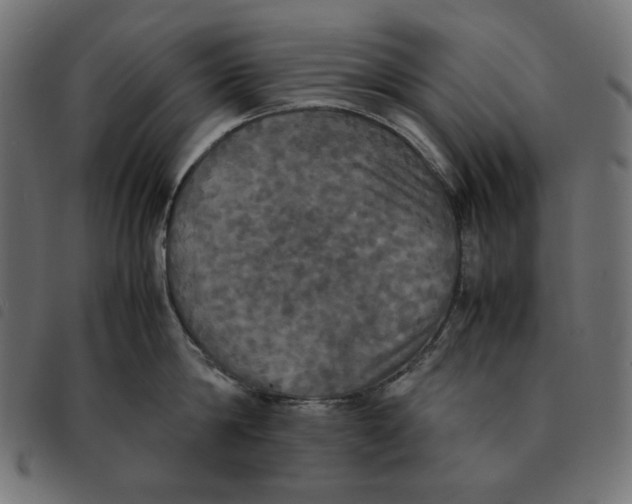 X0000092330814200710121532