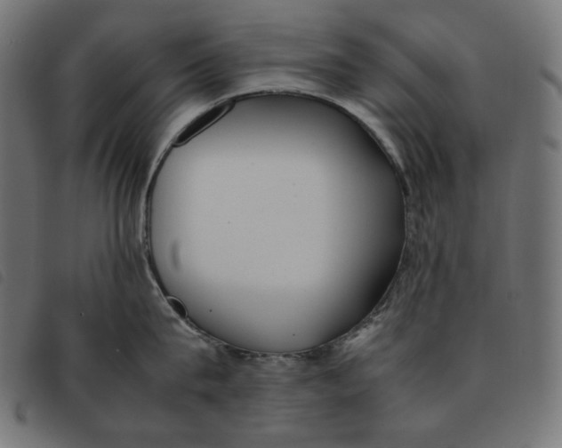 X0000092330815200710121532