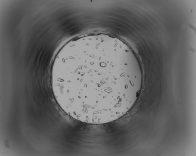 X0000092330816200710121532