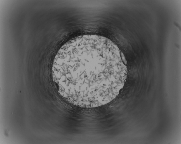 X0000092330817200710121532
