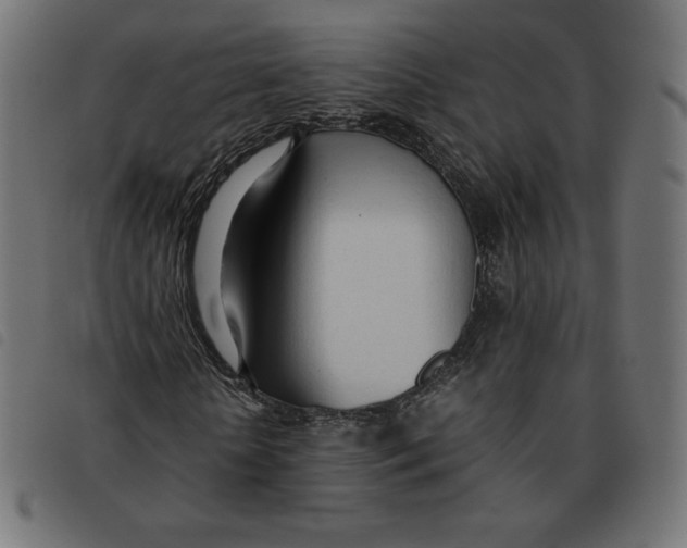 X0000092330818200710121532