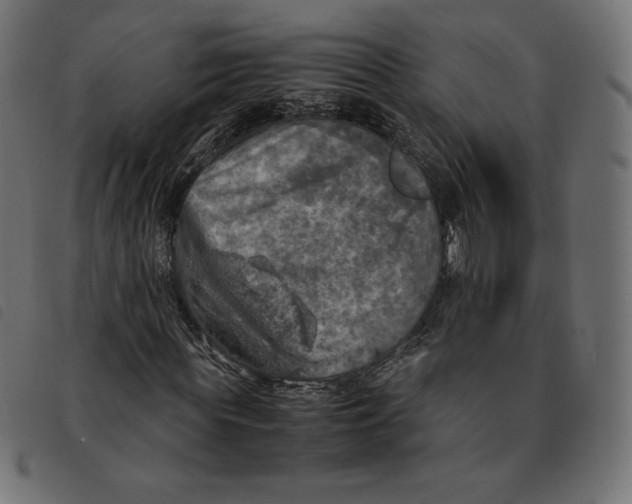 X0000092330819200710121532