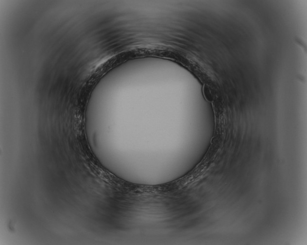 X0000092330822200710121532