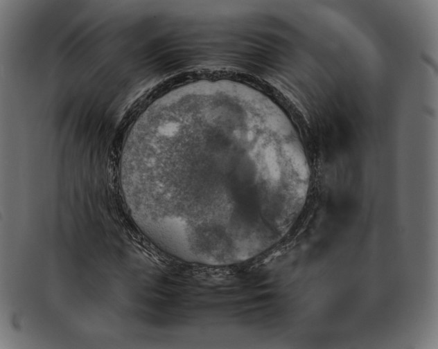 X0000092330823200710121532