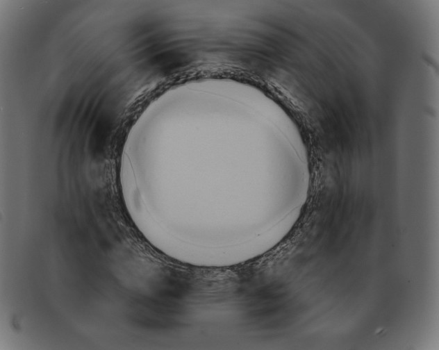 X0000092330824200710121532