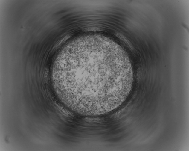 X0000092330825200710121532