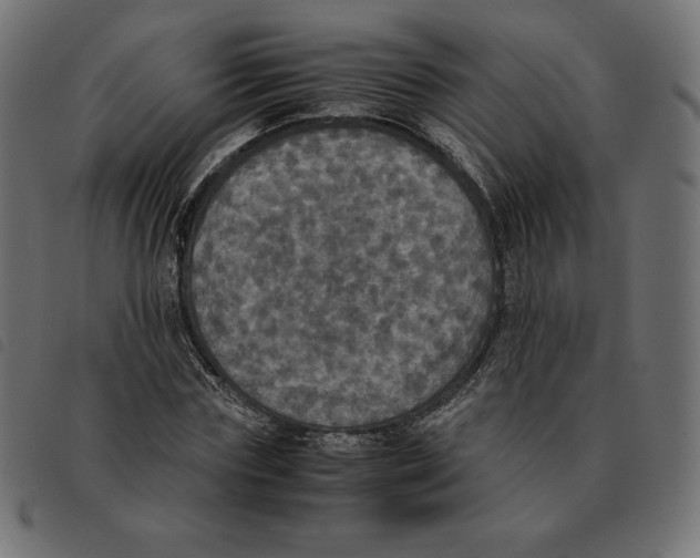 X0000092330827200710121532