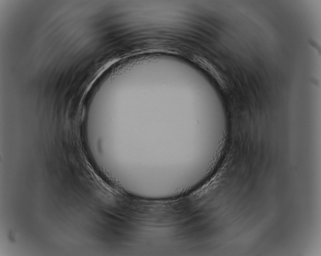 X0000092330828200710121532
