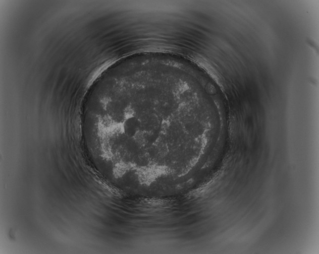 X0000092330829200710121532