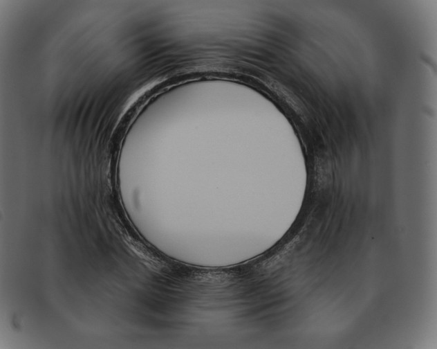 X0000092330830200710121532