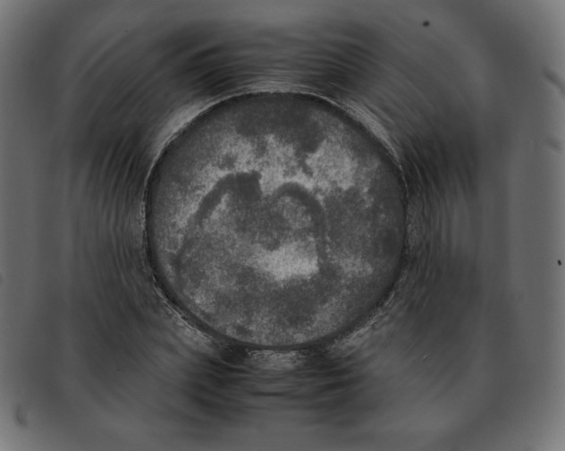 X0000092330831200710121532
