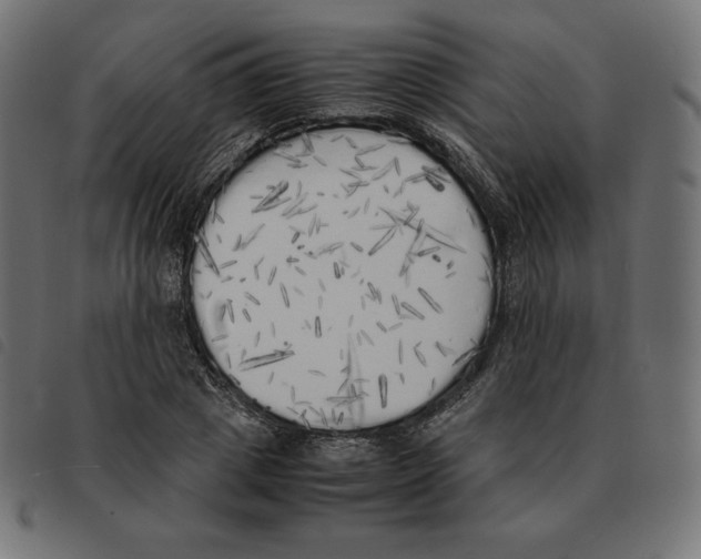 X0000092330833200710121532