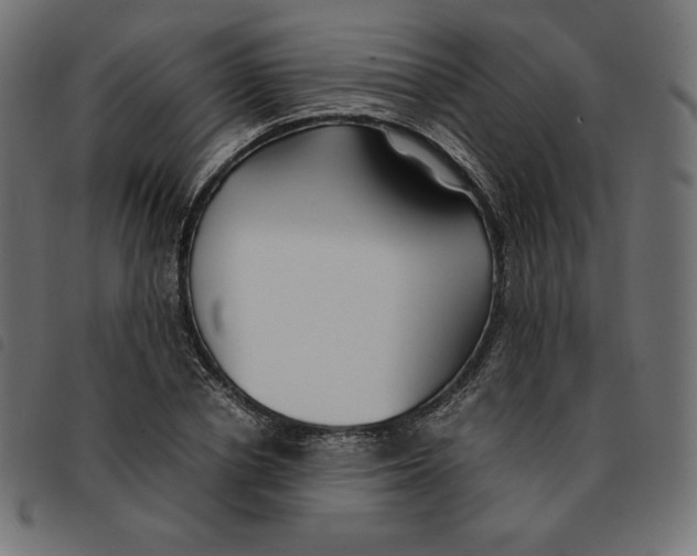 X0000092330834200710121532