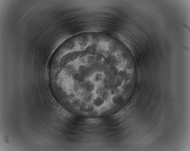 X0000092330835200710121532