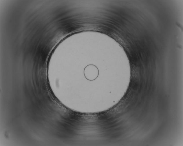 X0000092330836200710121532
