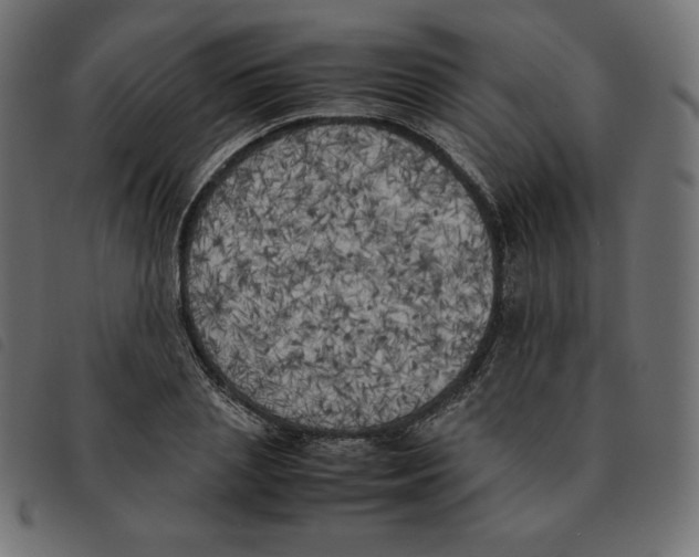 X0000092330837200710121532