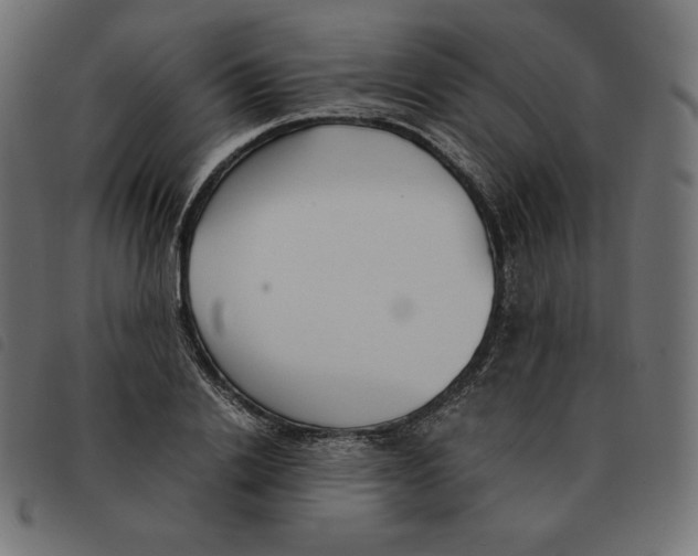 X0000092330838200710121532