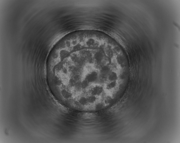 X0000092330839200710121532