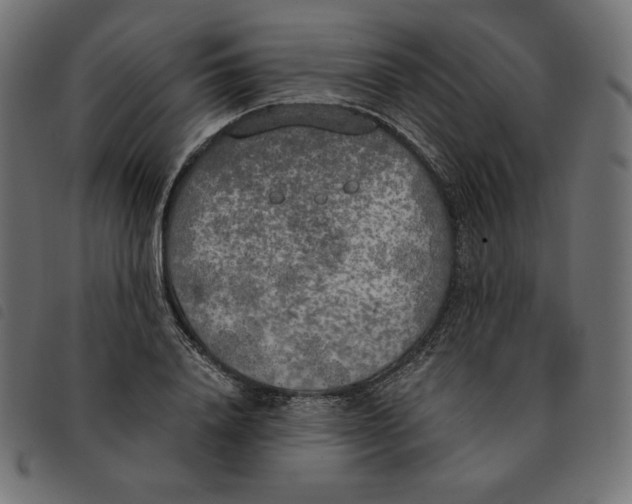 X0000092330840200710121532