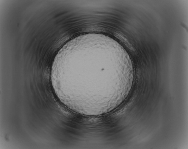 X0000092330841200710121532
