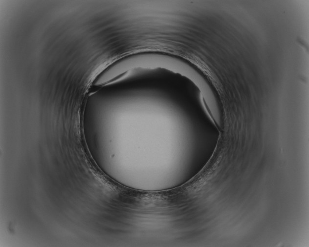 X0000092330842200710121532