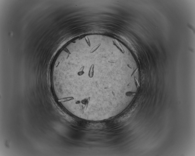 X0000092330843200710121532