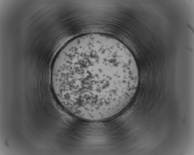 X0000092330844200710121532