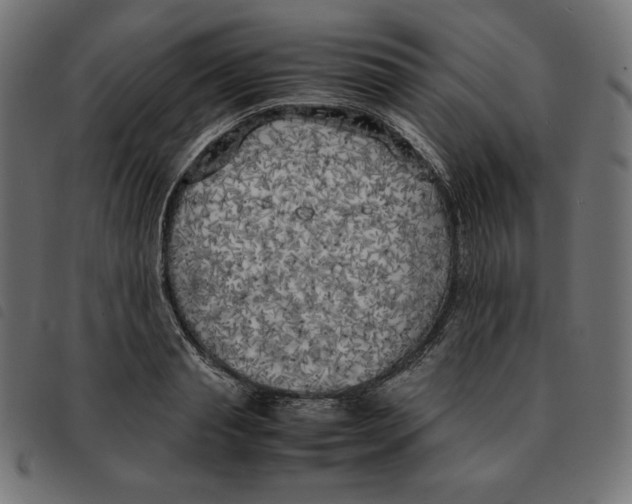 X0000092330845200710121532