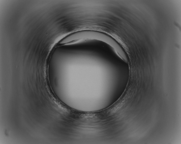 X0000092330846200710121532