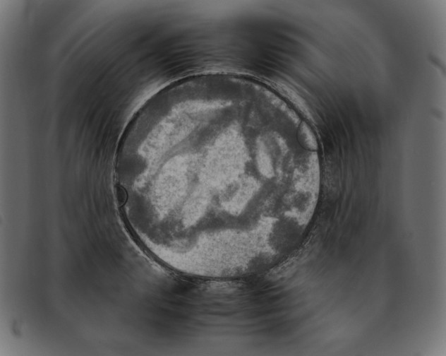 X0000092330847200710121532