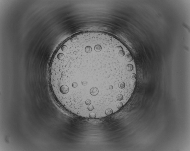 X0000092330848200710121532