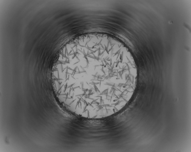 X0000092330849200710121532