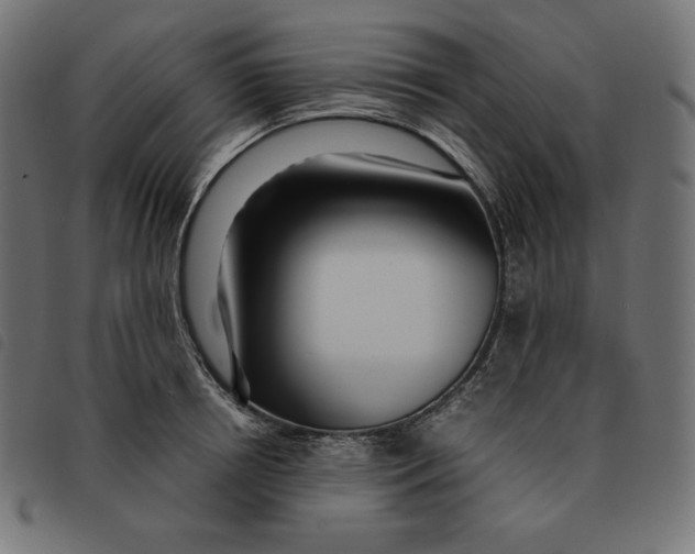 X0000092330850200710121532