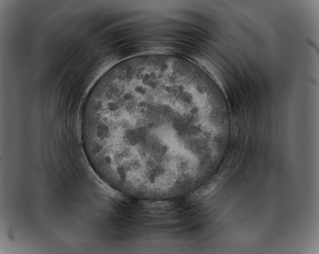 X0000092330851200710121532