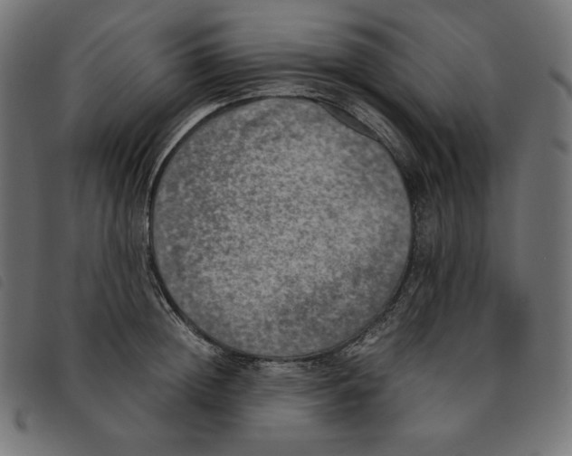 X0000092330852200710121532