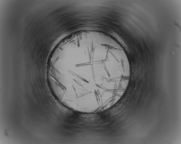 X0000092330853200710121532