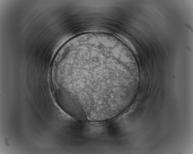 X0000092330855200710121532