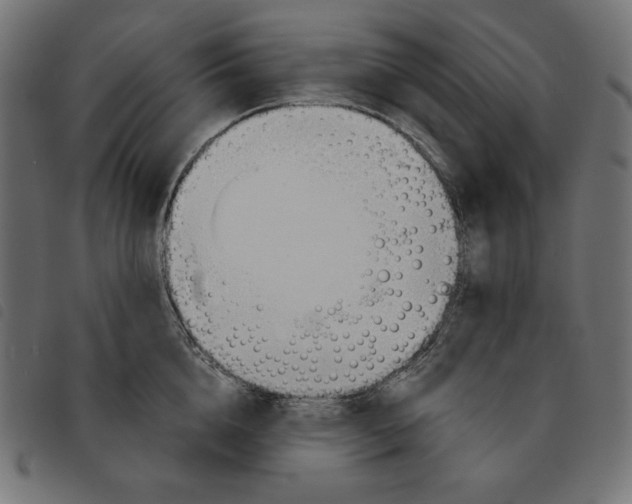 X0000092330856200710121532