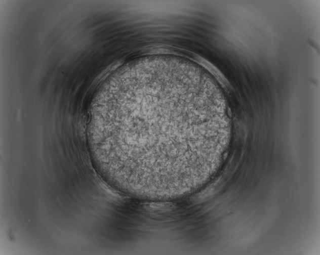 X0000092330857200710121532