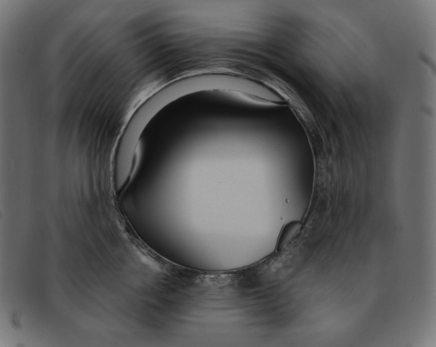 X0000092330858200710121532