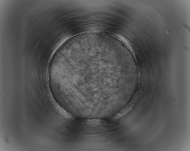 X0000092330859200710121532