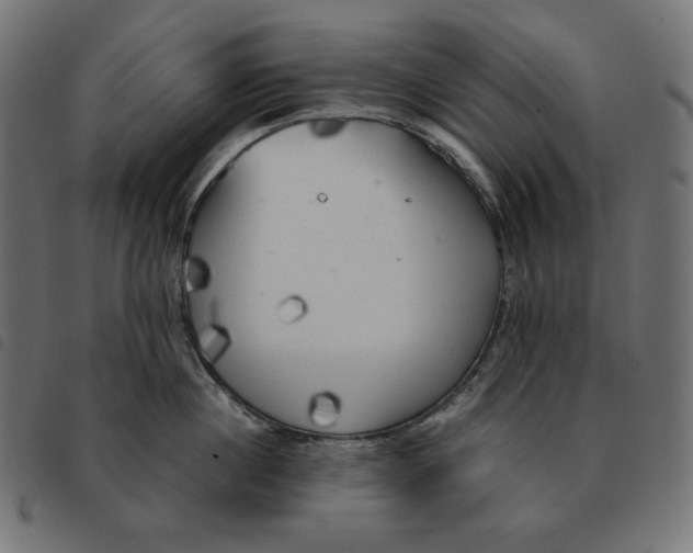 X0000092330860200710121532
