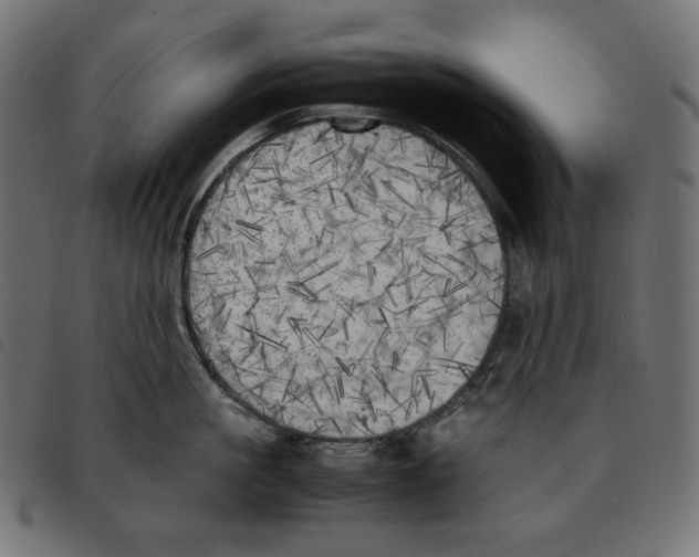 X0000092330861200710121532