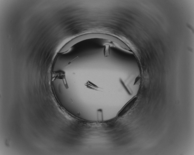 X0000092330862200710121532
