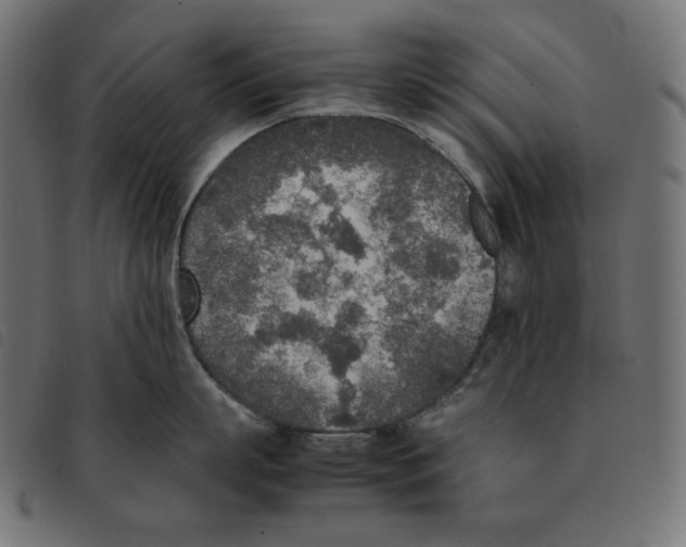 X0000092330863200710121532